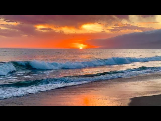 Coastal Sunset Ambience, Tranquil Scenery & Ocean Sounds, Relaxing Gentle Waves with Sea Birds UHD