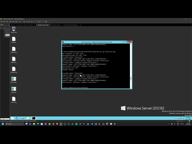 BOFs Development 4: Enumerating Network Adapters