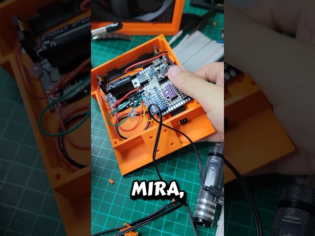 🪴Container Gardening Course🪴 We set everything up together! #maker