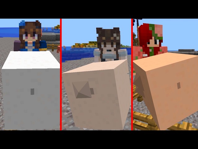 All Girls in HungerCraft, Minecraft Digestion Mod for 1.20.1