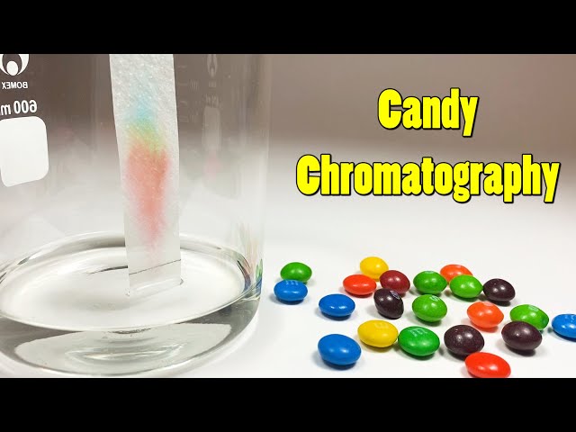 Candy Chromatography: What Colors Are in Your Candy? | Science Project