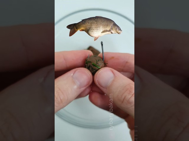 The Secret Carp Bait 🍞 (Rye Bread Recipe) #fishing #carpfishing