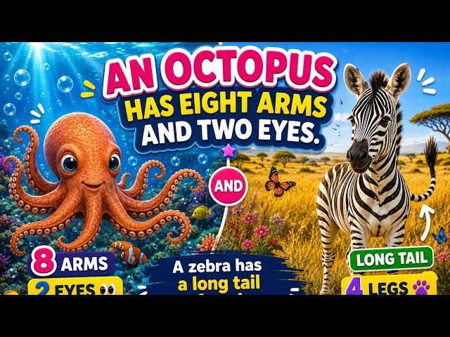 Learn Animal Facts for Kids | Octopus & Zebra Song 🐙🦓 | Easy English Sentences