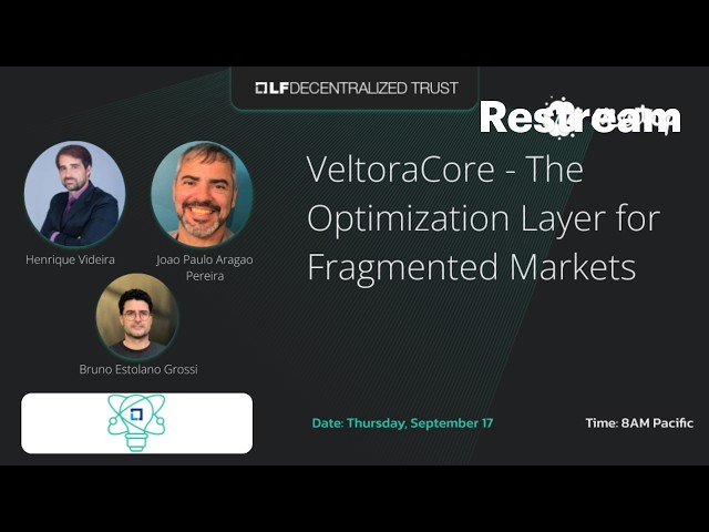 VeltoraCore - The Optimization Layer for Fragmented Markets