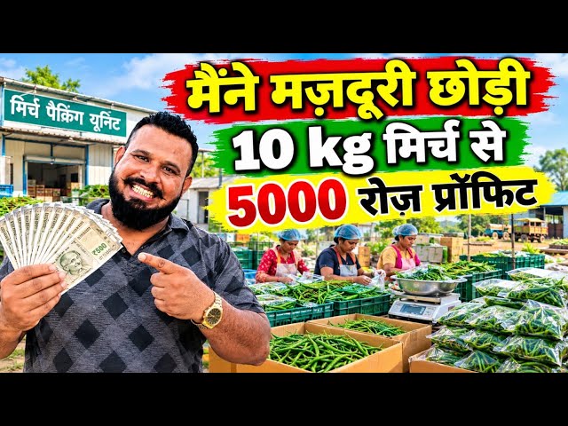 मैंने 10 kg हरी मिर्च से घर मे चालू किया 