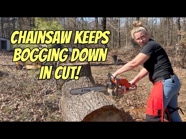From Bogging Out To BEAST Mode! Diagnosing Your Chainsaw That Can't Make The Cut! STIHL 034AV Repair
