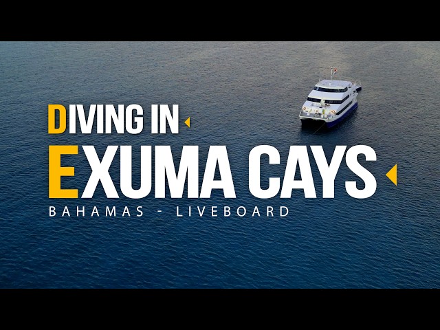 Diving in The Bahamas - The Exuma Cays - Liveaboard Trip