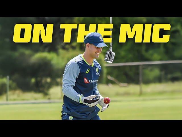 'That's tough': Carey mic'd up in Barbados | West Indies v Australia 2025