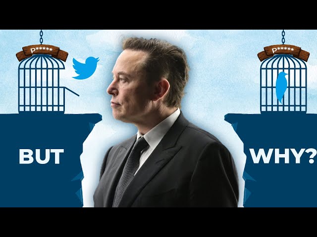 The TRUTH Behind The Elon Musk - Twitter Deal