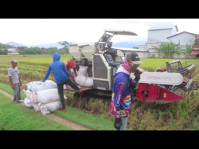 Kombi Sawah Bimo di Lahan Mbah Puguh - MT3 2025