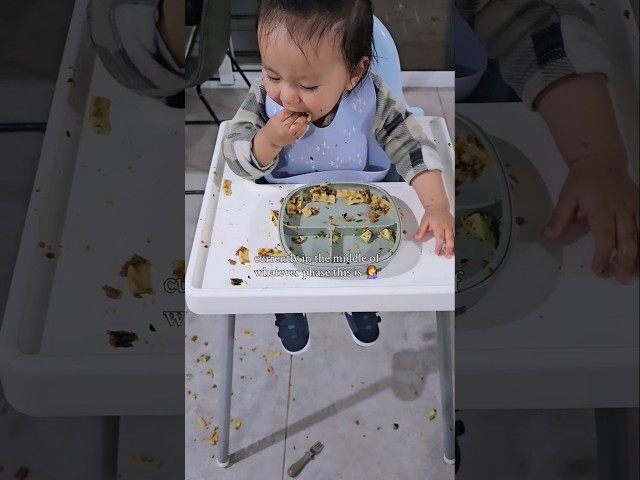 Whatever phase this is, not fun #blw #funnybabymoments #babyshorts #babythrowingfood