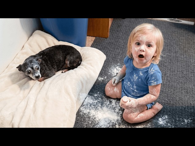 OMG! Cutest Babies Play With Dogs And Cats Compilation - Funny Baby Pets | Loony Pets TV