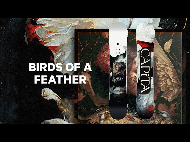 CAPiTA Snowboards | 2025 Birds of a Feather