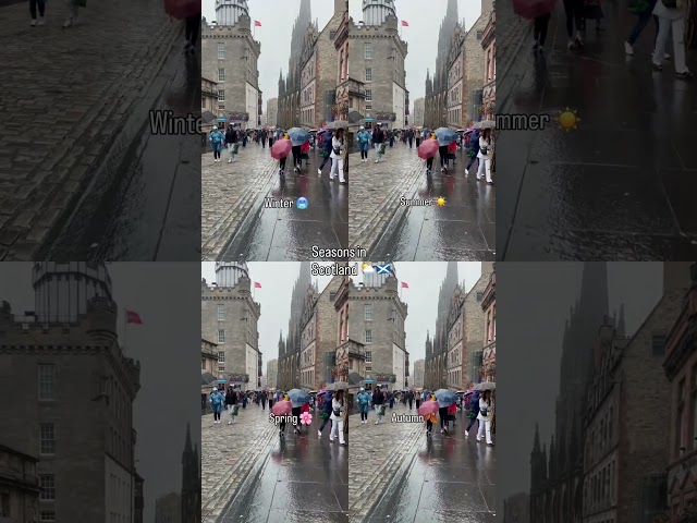 The Four Seasons of Edinburgh, Scotland 🏴󠁧󠁢󠁳󠁣󠁴󠁿 #travel #shorts # #scotland #ytshorts #yt