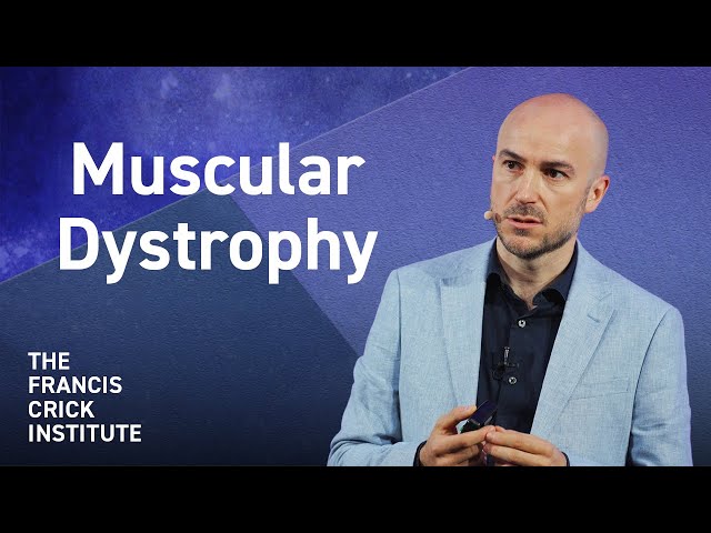 Exploring Muscular Dystrophy and the Research Challenges Ahead – with Francesco Saverio Tedesco