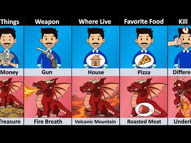 Human vs Dragon - Comparison