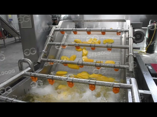 High-Efficiency Dried Mango Processing Line | Industrial Drying Solution