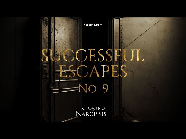 Successful Escapes : 9
