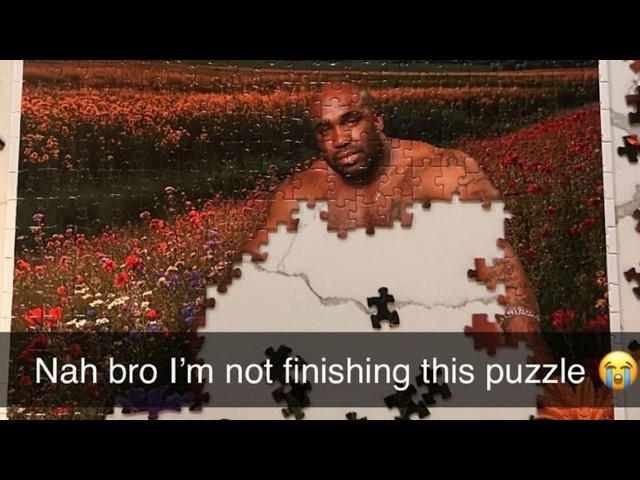 Random memes I permanently borrowed PT.1641