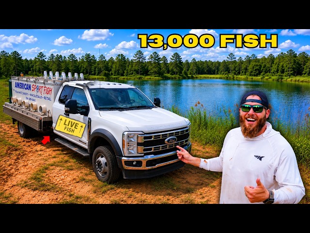 Adding 13,000 New Fish to SAVE My Backyard Pond!
