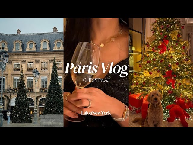 🇫🇷 Christmas in Paris Vlog | Dinner at Plaza Athénée | Paris Life with Dog | Paris L'Avenue