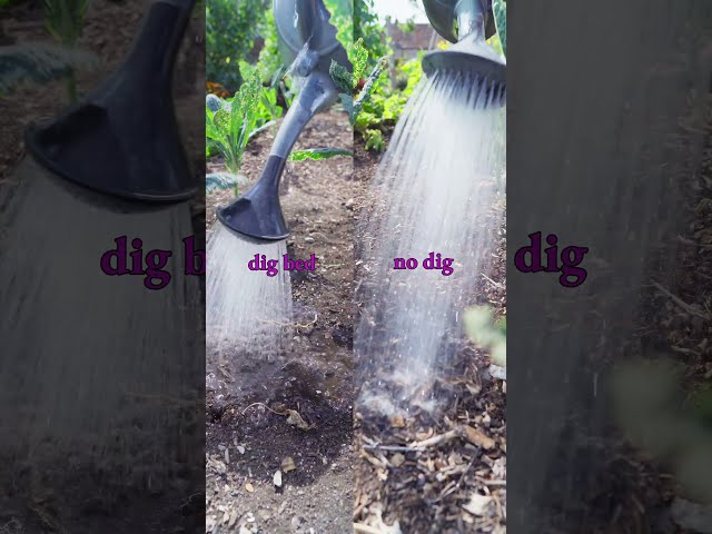 Water infiltration comparison