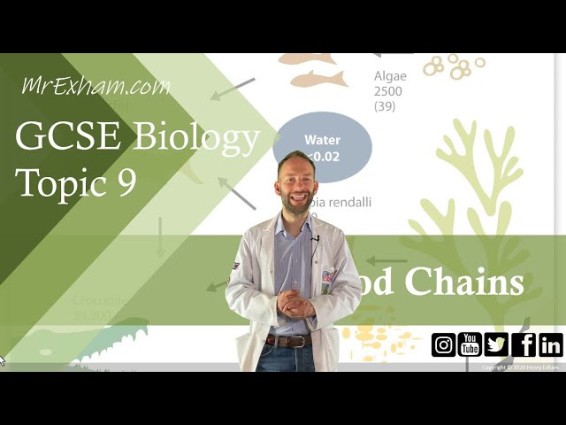 Food Chains - GCSE Biology (9-1) 9.7B