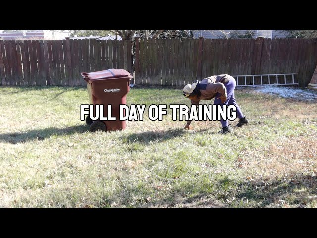 D1 Full Day Of Training || Field Work + Lift