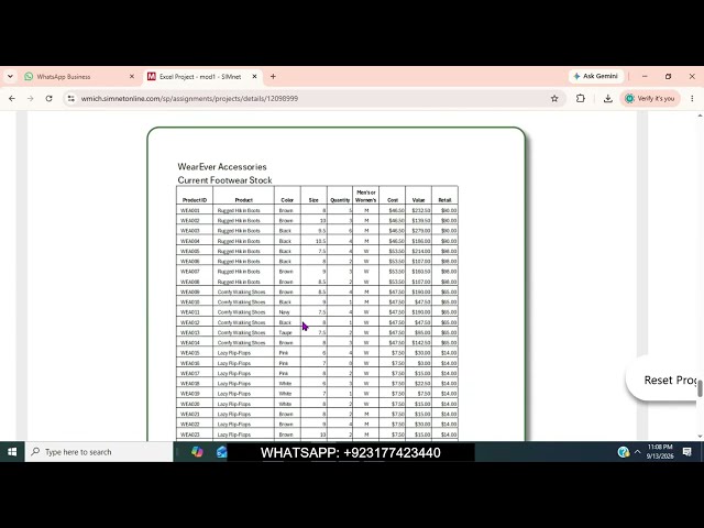 Excel Project - mod1 | Guided Project 1-3 - SIMnet Project