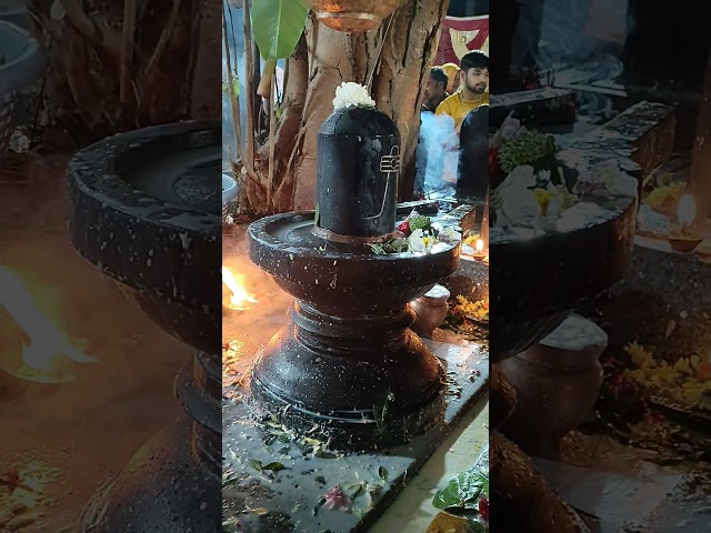 shivayya #shiva #mahadev #sivarathri
