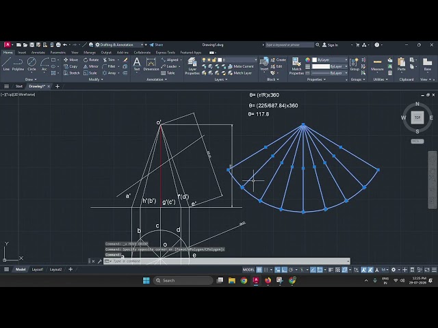 Development of Cone