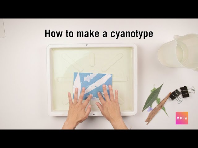 In Process: Cyanotype