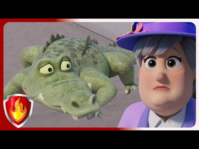 Hummy Mummy | Marshall PAW Patrol  | Cartoons For Kids