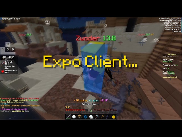Expo Client @ Hypixel Skywars