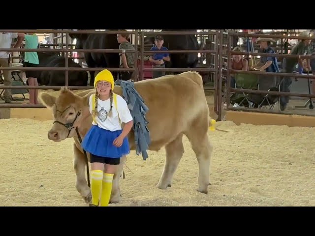 4-H Animal Fashion Show and the Talent Show, La Plata County Fair