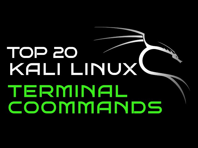 Top 20 Kali Linux Commands for Beginners | Complete Hindi Tutorial 🐧