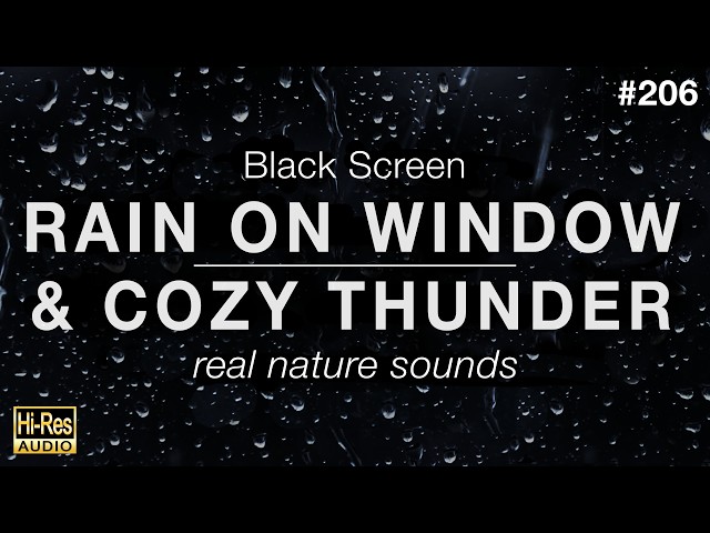 Dreamy Rain & Cozy Thunder Sounds on an Open Window for Sleeping (BLACK SCREEN)