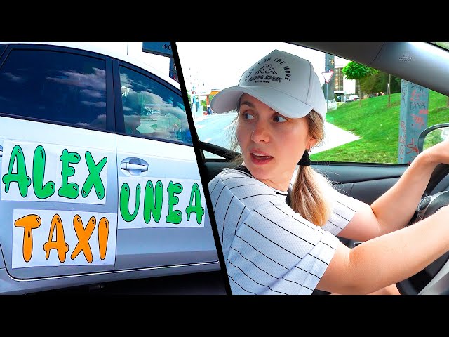 Alexunea Taxi - Types of Customers