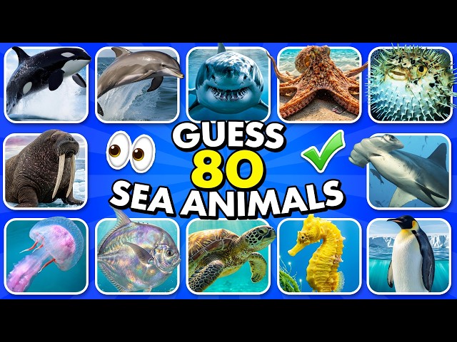 Guess 80 SEA ANIMALS in 3 Seconds 🦈🦑✅ | Learn Sea Animals Names