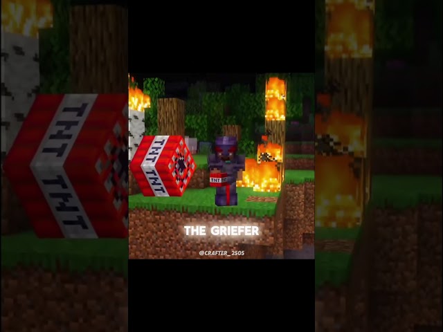 Which Minecraft player are you Part 2 #minecraft #shorts #reels #crafter_2505 #TheImmortalKing #edit