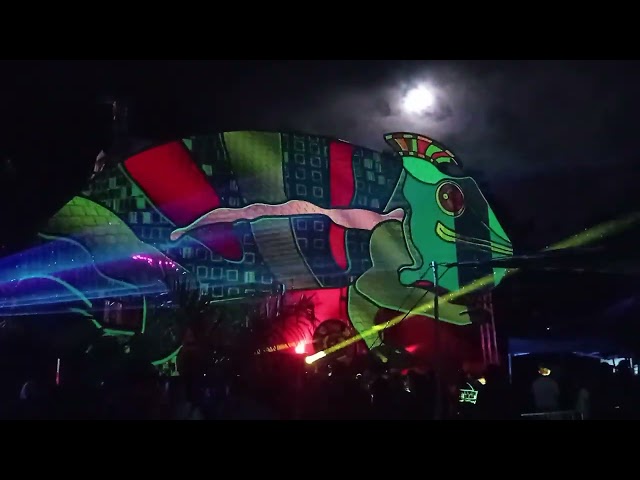 Cameleonium Festival - 03.05/10/2025 - Ile de la Réunion