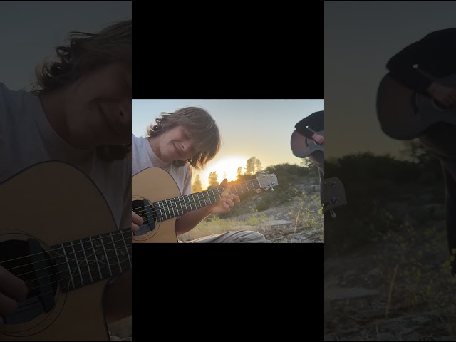 Little duet action 🎸 #shorts #guitar #fingerstyle