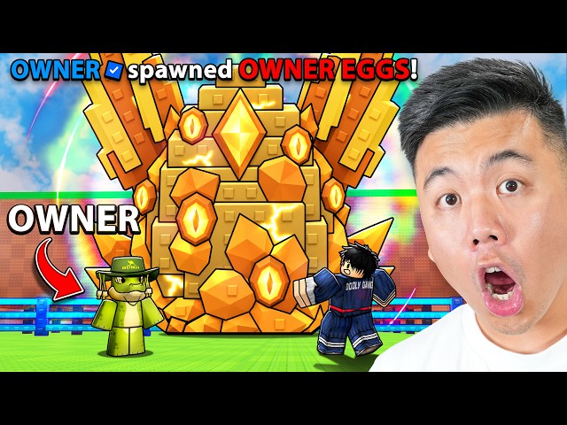 Meet The OWNER Of Roblox Steal An Egg!