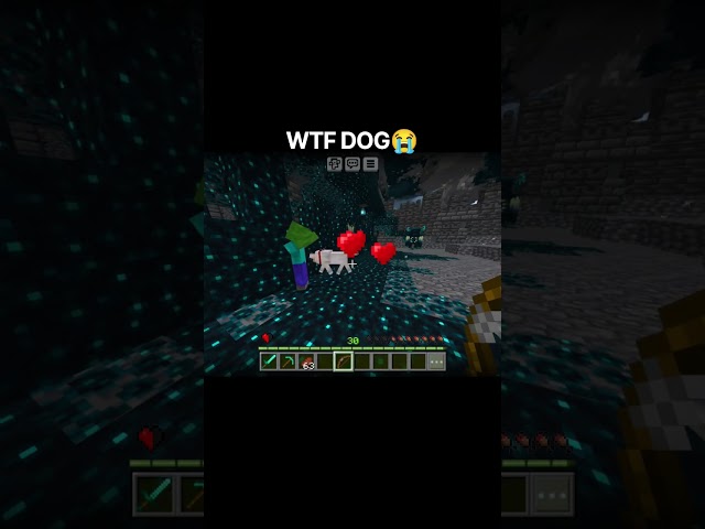 WTF DOG 😭 #minecraft #mc #gaming #shorts #mcpe