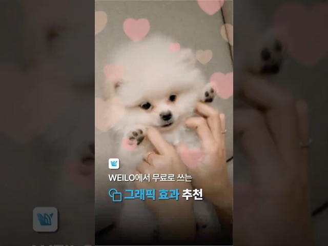 요즘 릴스 국룰 스티커 조합 추천