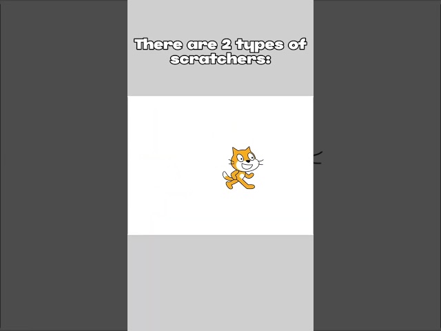 There are 2 types of scratchers #scratch #gamedev #programmingmemes