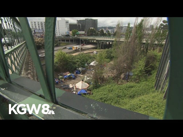 Portland city councilor pushes for revamp of homeless policy amid addiction crisis