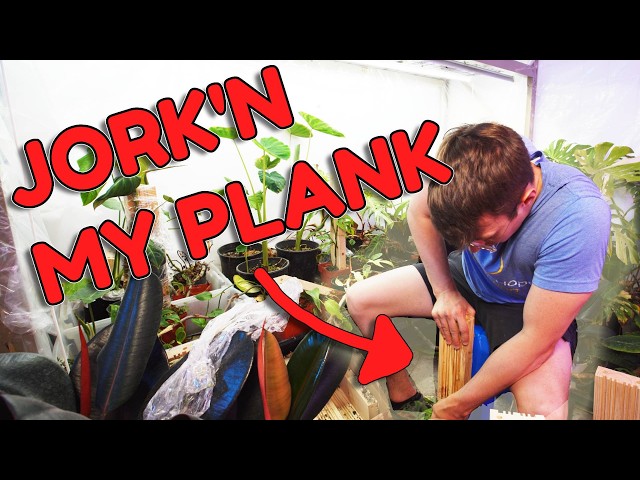 Extending Plant Planks And Giant Plant Wall Sneak Peak