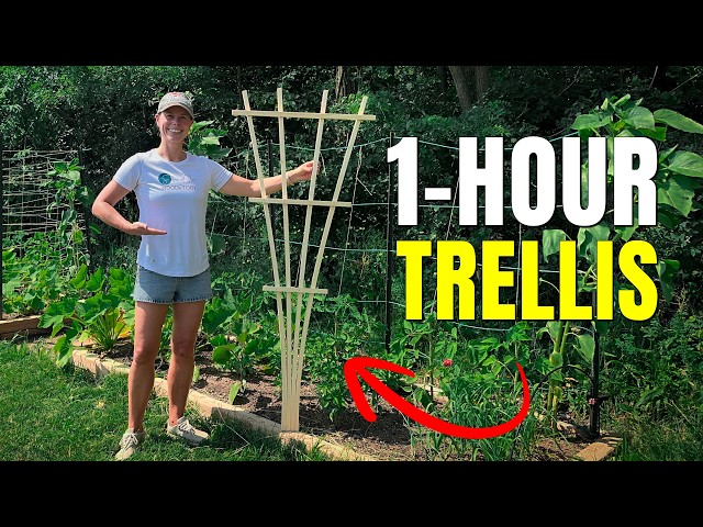 1-Hour DIY Garden Trellis // Easy Fence-Picket Woodworking