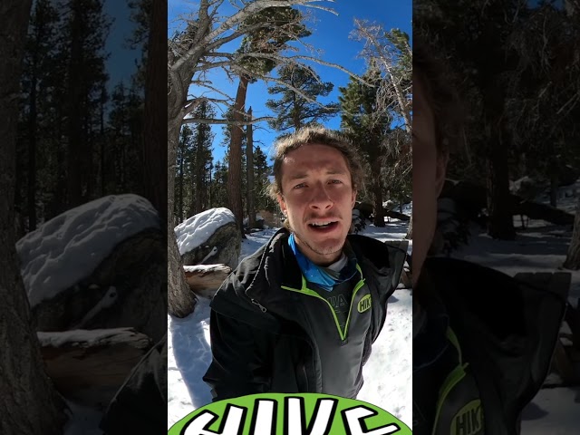 Cactus to Clouds: Hardest hike in USA (Hike 360° VR Video)